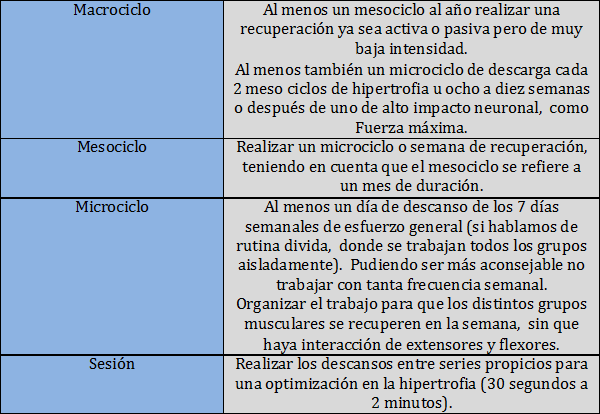 programa de hipertrofia