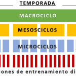Micros, Mesos y Macros: estructura científica para organizar tu año de entrenamiento