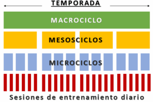 Micros, Mesos y Macros: estructura científica para organizar tu año de entrenamiento