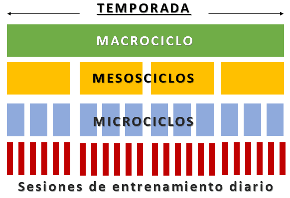 estructura de micros mesos y macros