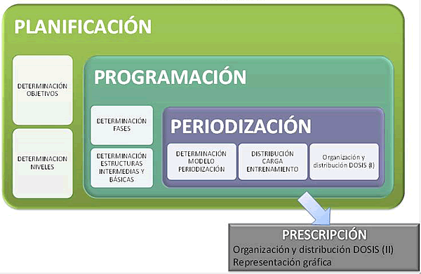 periodizacion en hipertrofia